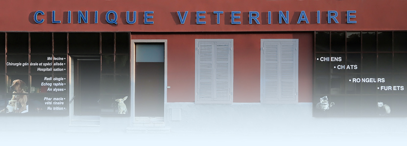 Clinique vétérinaire à Miribel - 1688 Grande Rue 01700 Miribel