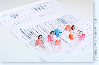 Résultats d'analyses biochimiques vétérinaires sanguines et urinaires