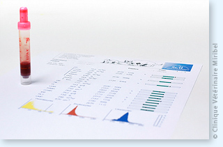 Résutats d'analyses hématologiques vétérinaires.
