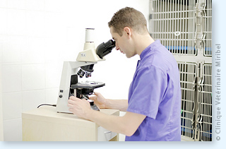 Automate d'analyses biochimiques vétérinaire Kitvia Kbio4.